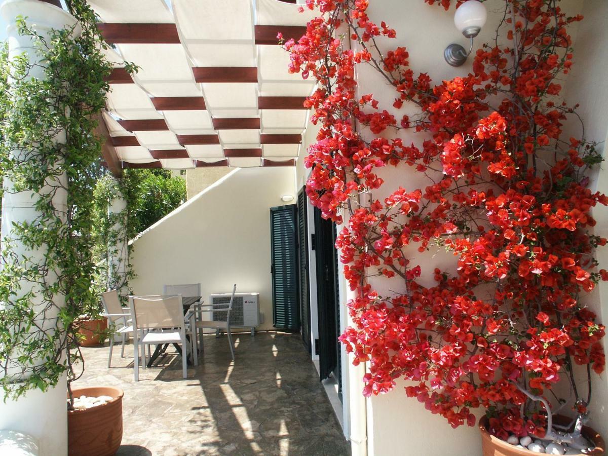 Elysium Apartments Corfu 帕莱欧卡斯提撒 外观 照片