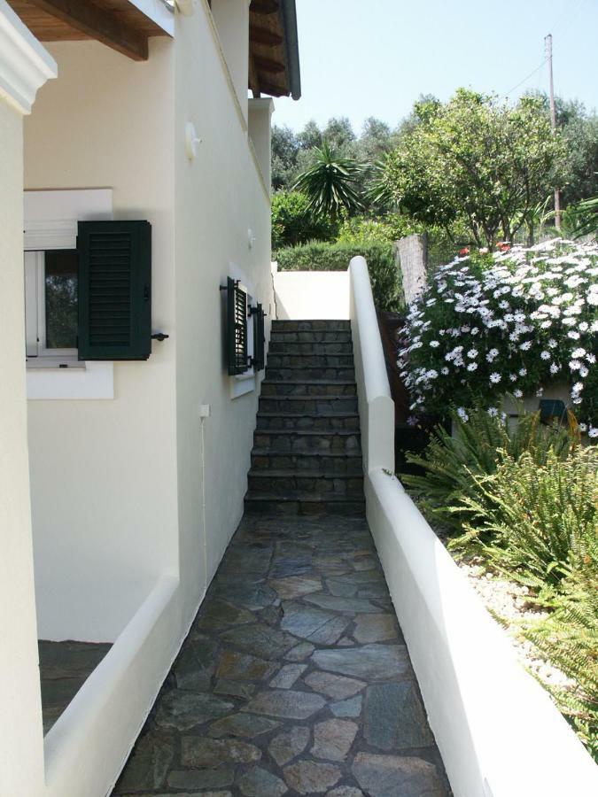 Elysium Apartments Corfu 帕莱欧卡斯提撒 外观 照片