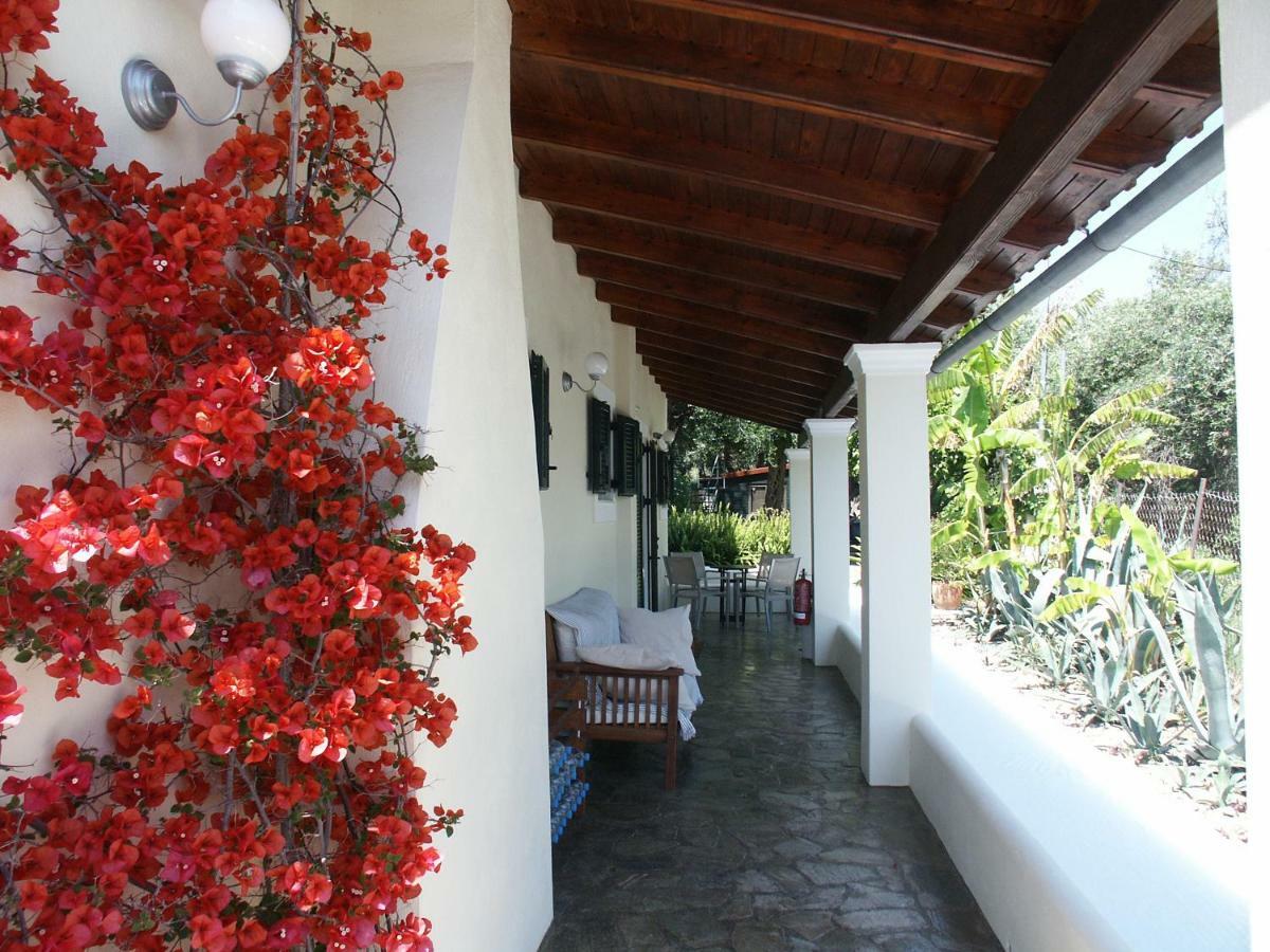 Elysium Apartments Corfu 帕莱欧卡斯提撒 外观 照片